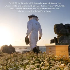 GUERLAIN Abeille Royale Anti Aging Pflege Youth Watery Oil Serum von