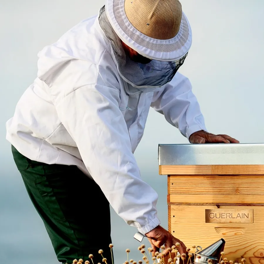 GUERLAIN Abeille Royale Scalp & Hair Youth-Oil-In-Serum von