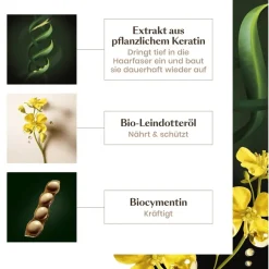 Renu00E9 Furterer Absolue Kératine Aufbauende Haarmaske von René Furterer