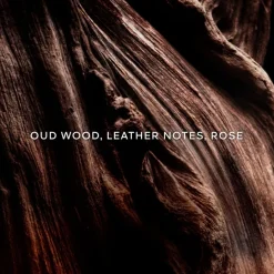 GUERLAIN Absolus Allegoria Eau de Parfum Spray Oud Essential von Discount