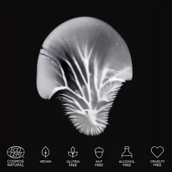 Mu00C1DARA Age Pro Contour Anti-Falten Augencreme von MÁDARA