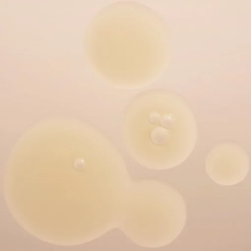 BABOR Ampoule Concentrates Active Purifier 7 Ampoules von Best