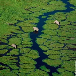 GUERLAIN Aqua Allegoria Eau de Toilette Spray Rosa Verde von