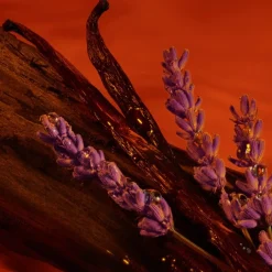 Armani Emporio You Stronger With You Absolutely Parfum Spray New