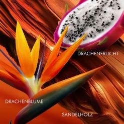 Escada Bali Paradise Eau de Toilette Spray Limited Edition von