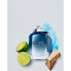 Coach Blue Eau de Toilette Spray von
