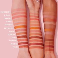 Benefit Blush Butterfly Rouge Orange mit Goldschimmer von Clearance