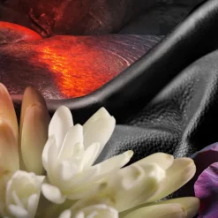 Bvlgari MAN In Black Eau de Parfum Spray Outlet