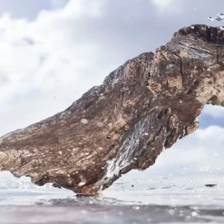 Bvlgari MAN Rain Essence Eau de Parfum Spray