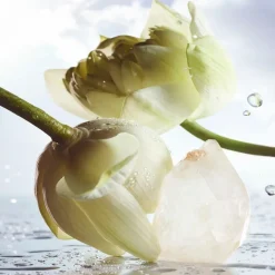 Bvlgari MAN Rain Essence Eau de Parfum Spray