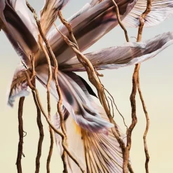 Bvlgari MAN Terrae Essence Eau de Parfum Spray