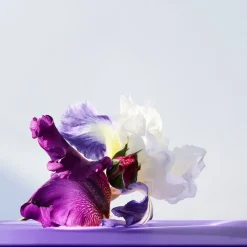 Bvlgari Omnia Amethyste Eau de Toilette Spray