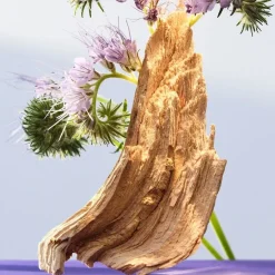 Bvlgari Omnia Amethyste Eau de Toilette Spray