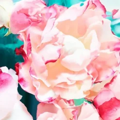 Bvlgari Rose Goldea Blossom Delight Eau de Parfum Spray