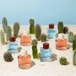 Hollister Canyon Escape Eau de Parfum Spray von