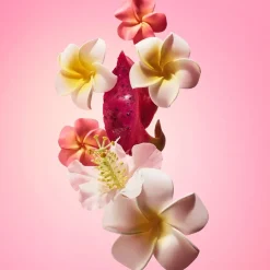 Sol de Janeiro Cheirosa 68 Beija Flor Beija Flor Biggie Biggie Body Lotion Limited Edition von Online