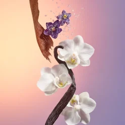 Sol de Janeiro Cheirosa 59 Delícia Drench Shower Oil von