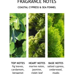 Molton Brown Coastal Cypress & Sea Fennel Body Lotion von