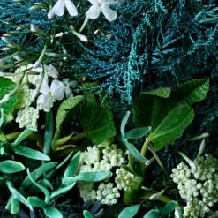 Molton Brown Coastal Cypress & Sea Fennel Bath Salt von