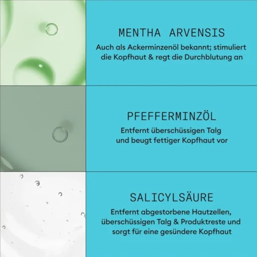Nioxin Coloriertes, dezent dünner werdendes Haar Cleanser Shampoo Colored Hair Light Thinning von