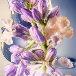 Davidoff Cool Elixir for Men Hair & Body Wash von