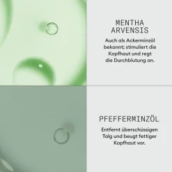 Nioxin 3D Expert Dermabrasion Scalp Renew Treatment von