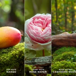 Marc Jacobs Daisy Ever So Fresh Eau de Parfum Spray von Online