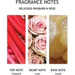 Molton Brown Delicious Rhubarb & Rose Bath & Shower Gel von Clearance
