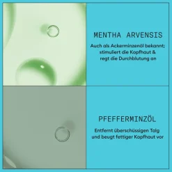 Nioxin Dezent dünner werdendes Haar Scalp Therapy Revitalising Conditioner Colored Hair Light Thinning von Discount