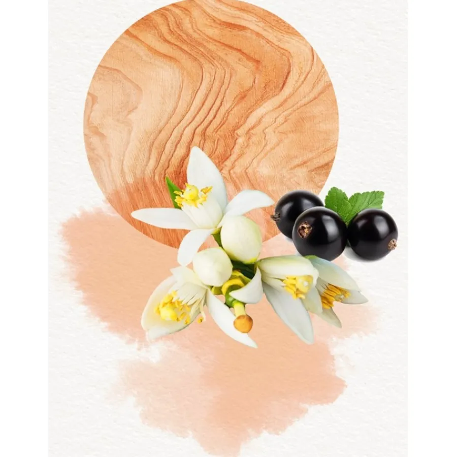 Annayake Dojou for Her Eau de Parfum Spray von