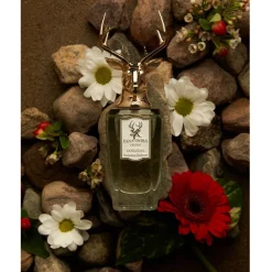 Pana Dora Sweden Dorasima Eau de Parfum Spray von Sale