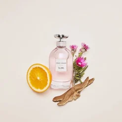 Coach Dreams Eau de Parfum Spray von Clearance