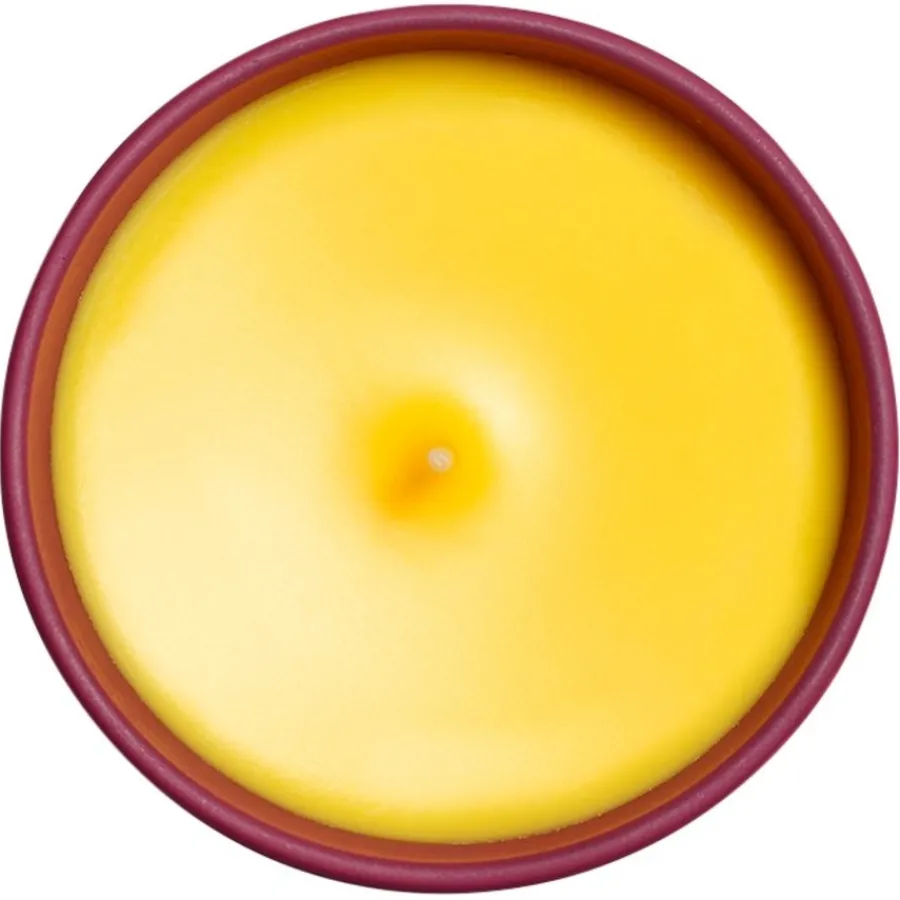 Sisley Duftkerze Bougie Rose von