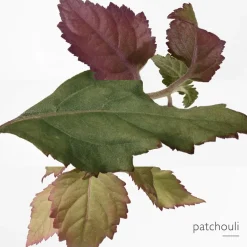 Hermès Eau des Merveilles Eau de Parfum Spray von Hermès Discount