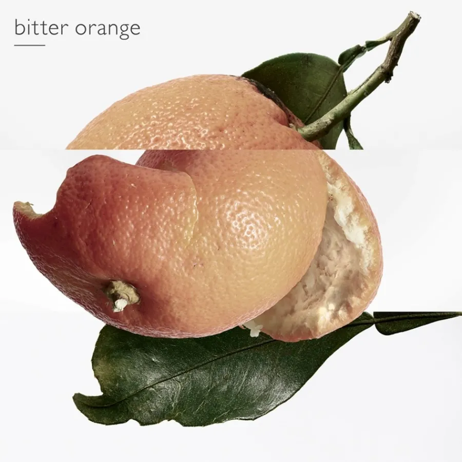 Hermès Eau des Merveilles Eau de Toilette Spray von Hermès Clearance