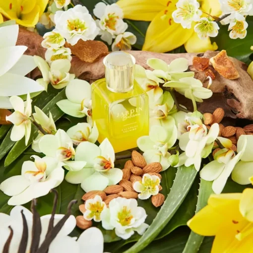 Jardin Bohu00E8me Escapade Solaire Eau de Parfum Spray von Jardin Bohème