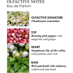 Molton Brown Fiery Pink Pepper Eau de Parfum Travel Case Refill von Online