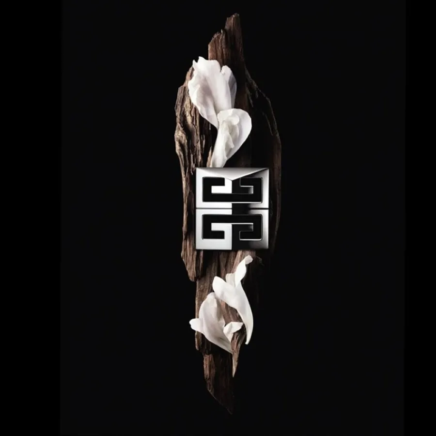 GIVENCHY GENTLEMAN SOCIETY Eau de Parfum Spray von Clearance