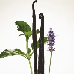 Burberry Goddess Eau de Parfum Intense Spray  von