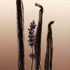 Burberry Goddess Eau de Parfum Spray von