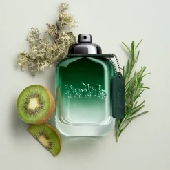 Coach Green Eau de Toilette Spray von Discount