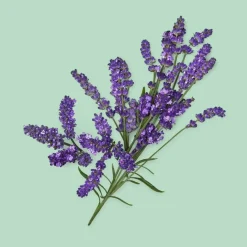 Gucci Guilty Pour Homme Essence Eau de Toilette Spray von Sale