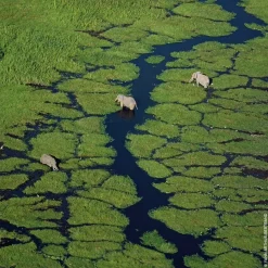 GUERLAIN Aqua Allegoria Herba Fresca Eau de Toilette Spray Clearance