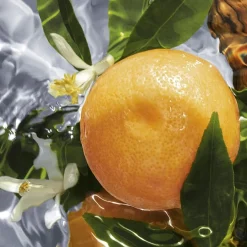 GUERLAIN Aqua Allegoria Pamplelune Eau de Toilette Spray