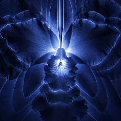 GUERLAIN Essence-Lotion Concentrate