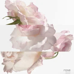 Hermès Hermès Collection Colognes Concentré de Pamplemousse Rose Eau de Toilette Spray