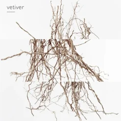 Hermès Hermès Collection Colognes Concentré de Pamplemousse Rose Eau de Toilette Spray