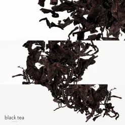 Hermès Hermès Collection Colognes Eau de Citron Noir Eau de Cologne Spray