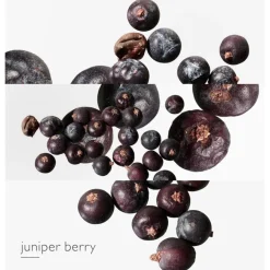 Hermès Hermès Eau des Merveilles Bleue Eau de Toilette Spray