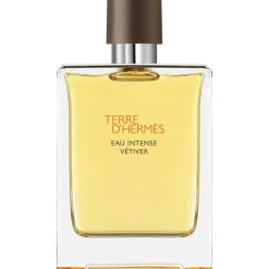 Hermès Hermès Terre d'Hermès Eau Intense Vetiver Eau de Parfum Spray
